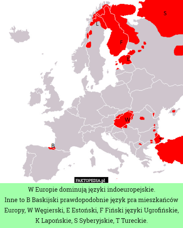W Europie dominują języki indoeuropejskie.Inne to B Baskijski prawdopodobnie