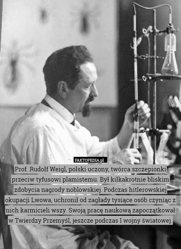 Prof. Rudolf Weigl, polski uczony, twórca szczepionki przeciw tyfusowi plamistemu.
