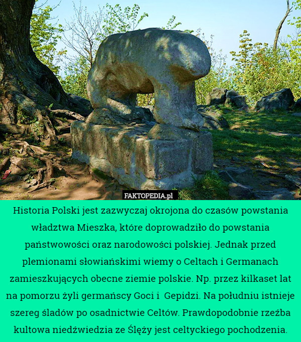 Historia Polski jest zazwyczaj okrojona do czasów powstania władztwa Mieszka