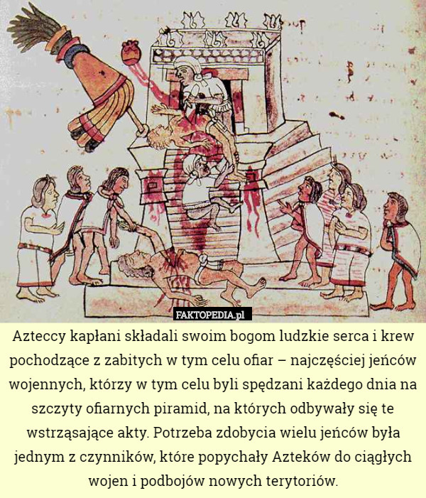 Azteccy kapłani składali swoim bogom ludzkie serca i krew pochodzące z zabitych