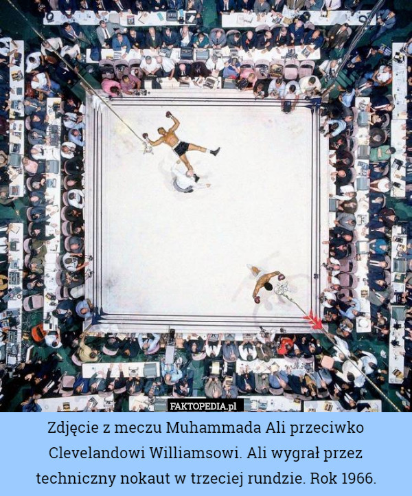 Zdjęcie z meczu Muhammada Ali przeciwko Clevelandowi Williamsowi. Ali wygrał