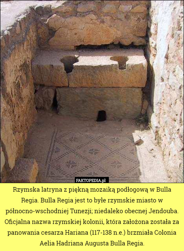 Rzymska latryna z piękną mozaiką podłogową w Bulla Regia. Bulla Regia jest