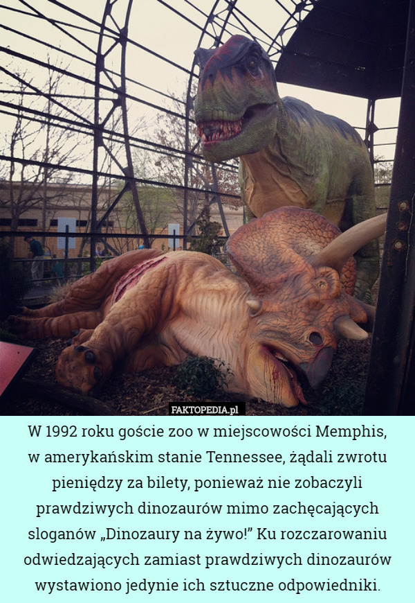 W 1992 roku goście zoo w miejscowości Memphis,
w amerykańskim stanie Tennessee,