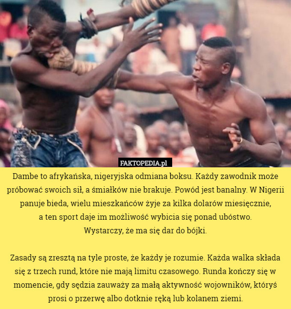 Dambe to afrykańska, nigeryjska odmiana boksu. Każdy zawodnik może...