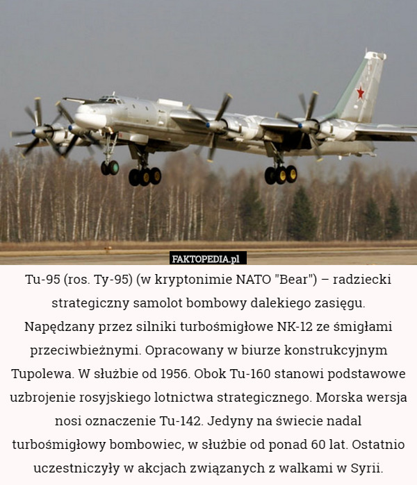 Tu-95 (ros. Ту-95) (w kryptonimie NATO "Bear") – radziecki strategiczny
