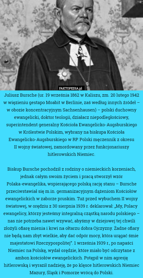 Juliusz Bursche (ur. 19 września 1862 w Kaliszu, zm. 20 lutego 1942 w więzieniu