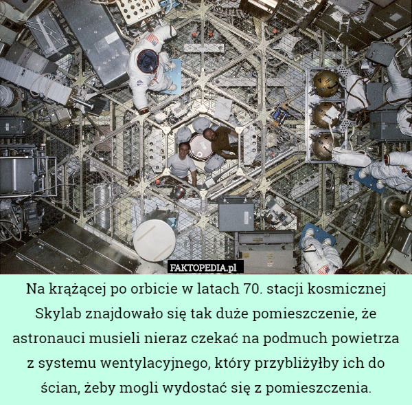 Na krążącej po orbicie w latach 70. stacji kosmicznej Skylab znajdowało