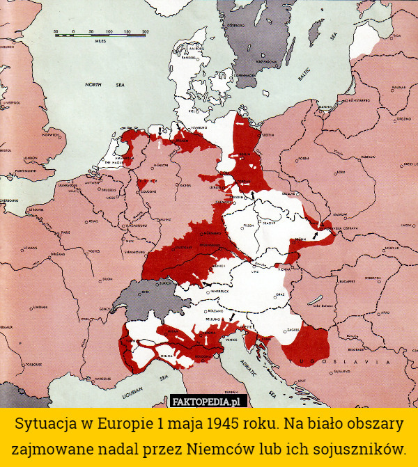 Sytuacja w Europie 1 maja 1945 roku. Na biało obszary zajmowane nadal przez