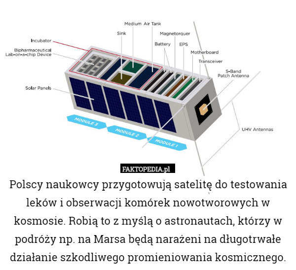 Polscy naukowcy przygotowują satelitę do testowania leków i obserwacji komórek