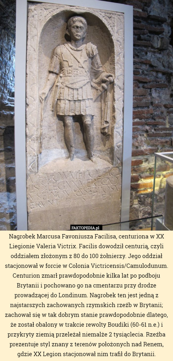 Nagrobek Marcusa Favoniusza Facilisa, centuriona w XX Liegionie Valeria