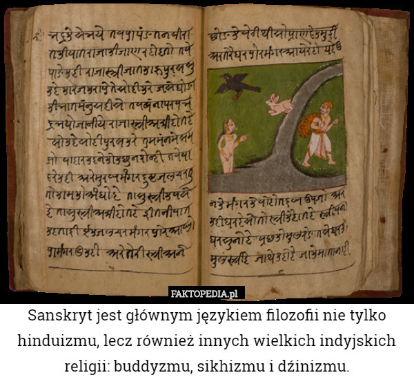 Sanskryt jest głównym językiem filozofii nie tylko hinduizmu, lecz również