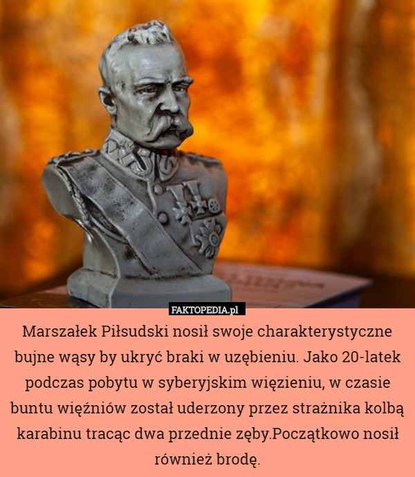 Marszałek Piłsudski nosił swoje charakterystyczne bujne wąsy by ukryć braki
