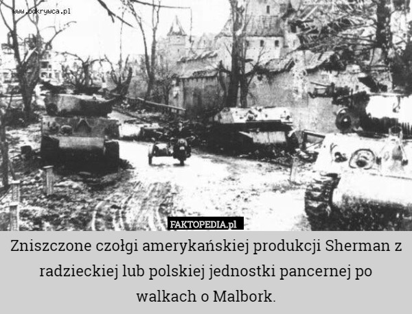 Zniszczone czołgi amerykańskiej produkcji Sherman z radzieckiej lub polskiej