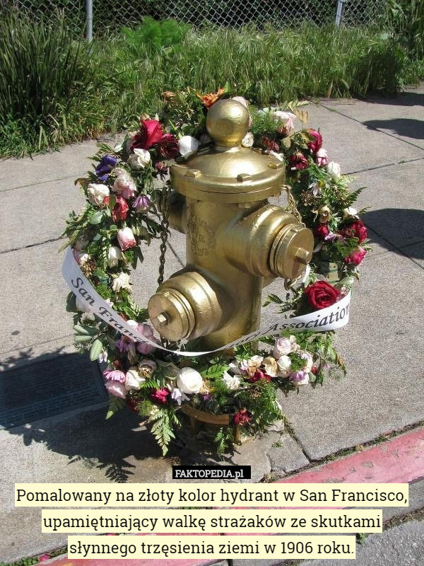 Pomalowany na złoty kolor hydrant w San Francisco, upamiętniający walkę