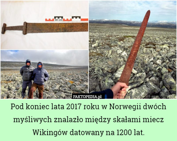 Pod koniec lata 2017 roku w Norwegii dwóch myśliwych znalazło między skałami