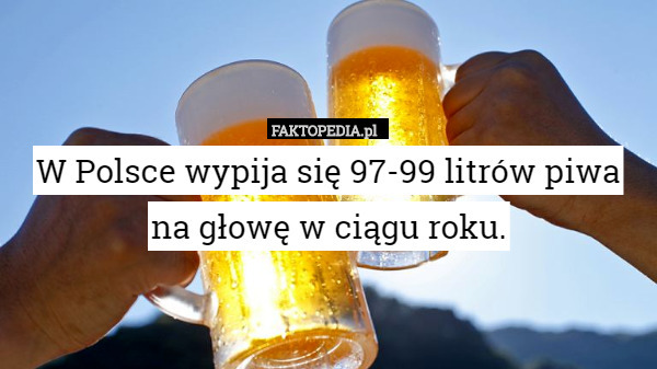 W Polsce wypija się 97-99 litrów piwa na głowę mieszkańca w ciągu roku.