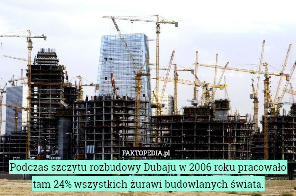 Podczas szczytu rozbudowy Dubaju w 2006 roku pracowało tam 24% wszystkich