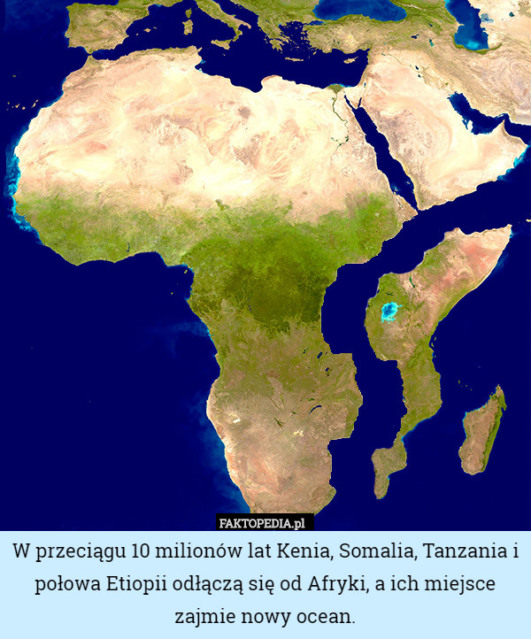 W przeciągu 10 milionów lat Kenia, Somalia, Tanzania i połowa Etiopii odłączą