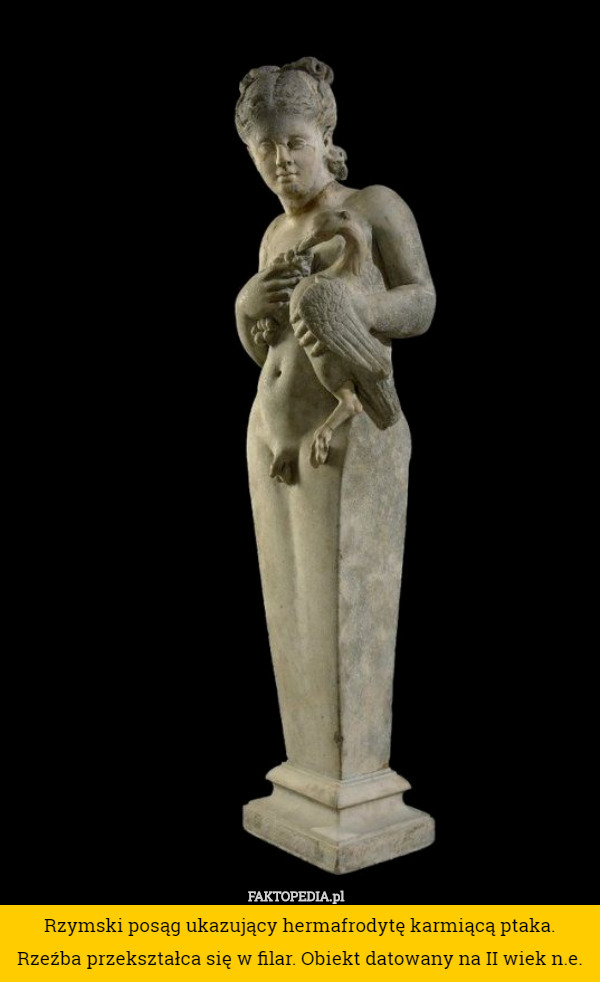Rzymski posąg ukazujący hermafrodytę karmiącą ptaka. Rzeźba przekształca