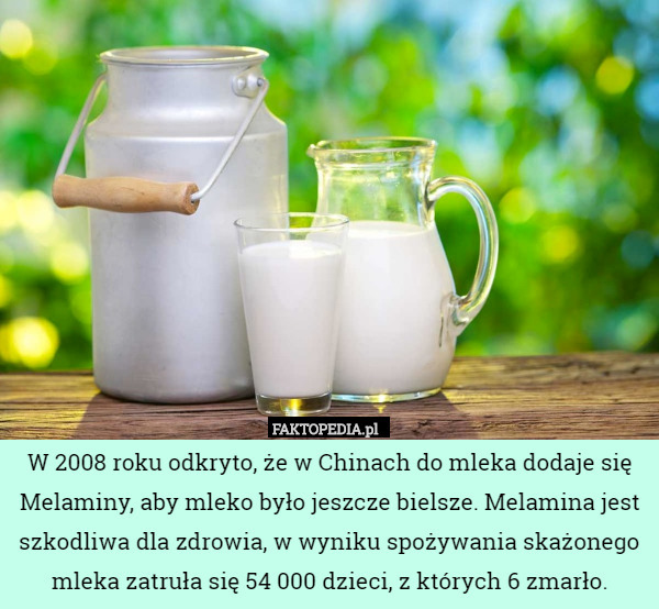 W 2008 roku odkryto, że w Chinach do mleka dodaje się Melaminy, aby mleko