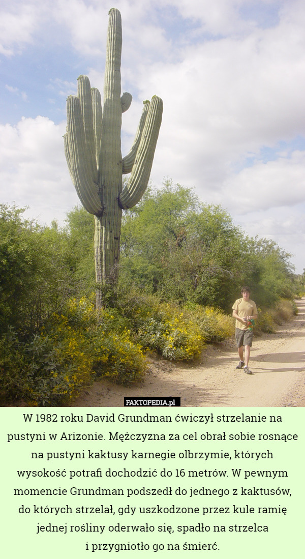 W 1982 roku David Grundman ćwiczył strzelanie na pustyni w Arizonie. Mężczyzna