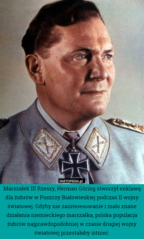 Marszałek III Rzeszy, Herman Göring stworzył enklawę dla żubrów w Puszczy