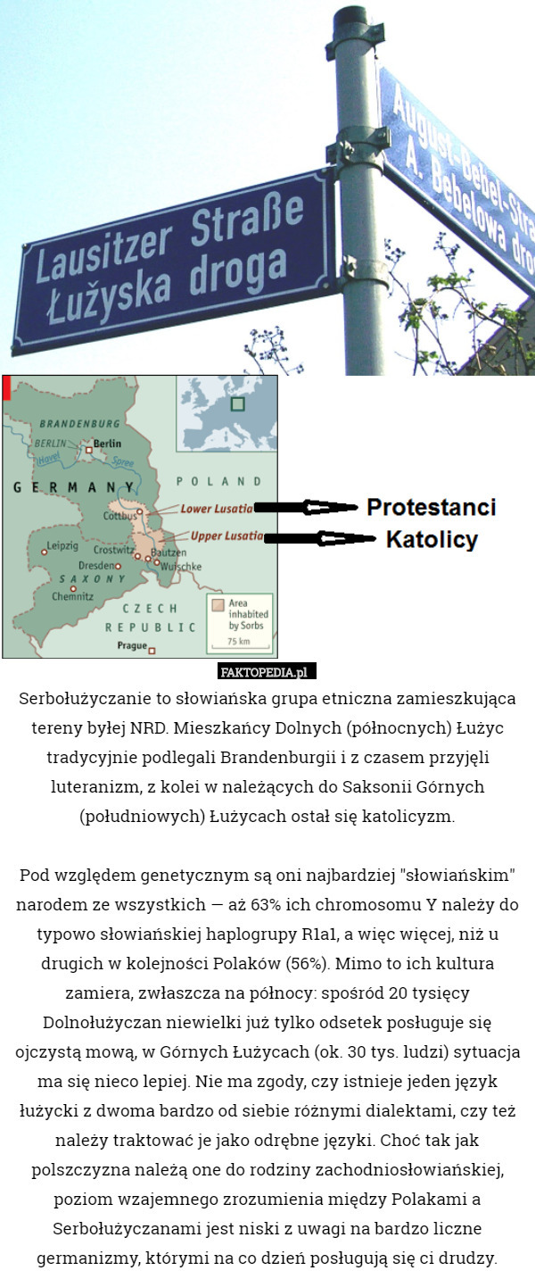 Serbołużyczanie to słowiańska grupa etniczna zamieszkująca tereny byłej