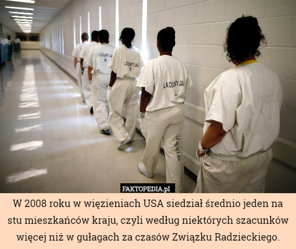 W 2008 roku w więzieniach USA siedział średnio jeden na stu mieszkańców