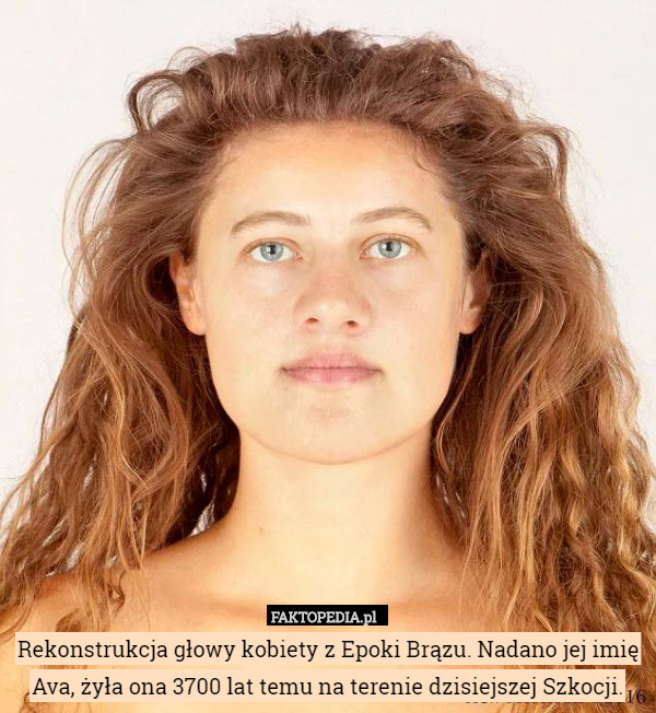 Rekonstrukcja głowy kobiety z Epoki Brązu. Nadano jej imię Ava, żyła ona