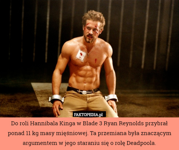 Do roli Hannibala Kinga w Blade 3 Ryan Reynolds przybrał ponad 11 kg masy