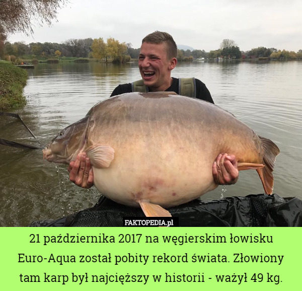 21 października 2017 na węgierskim łowisku Euro-Aqua został pobity rekord