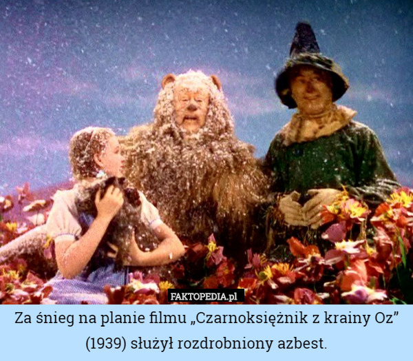 Za śnieg na planie filmu „Czarnoksiężnik z krainy Oz” (1939) służył rozdrobniony