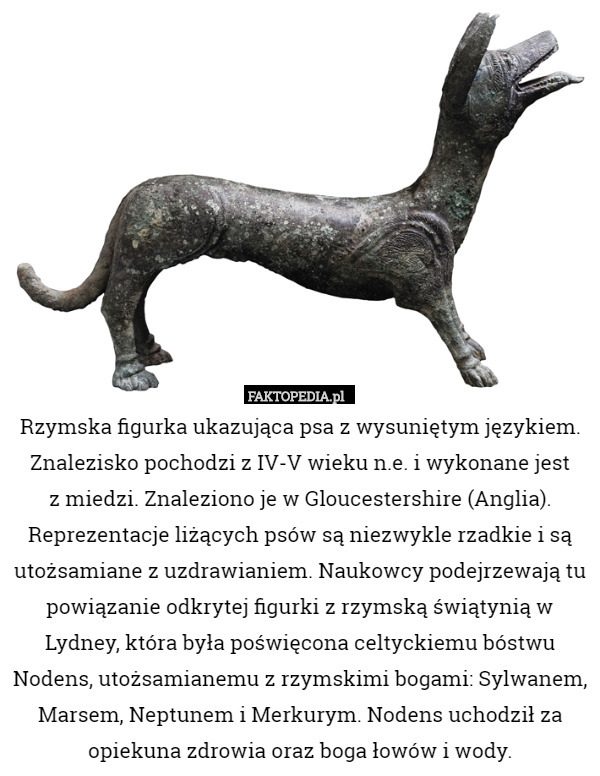 Rzymska figurka ukazująca psa z wysuniętym językiem. Znalezisko pochodzi...