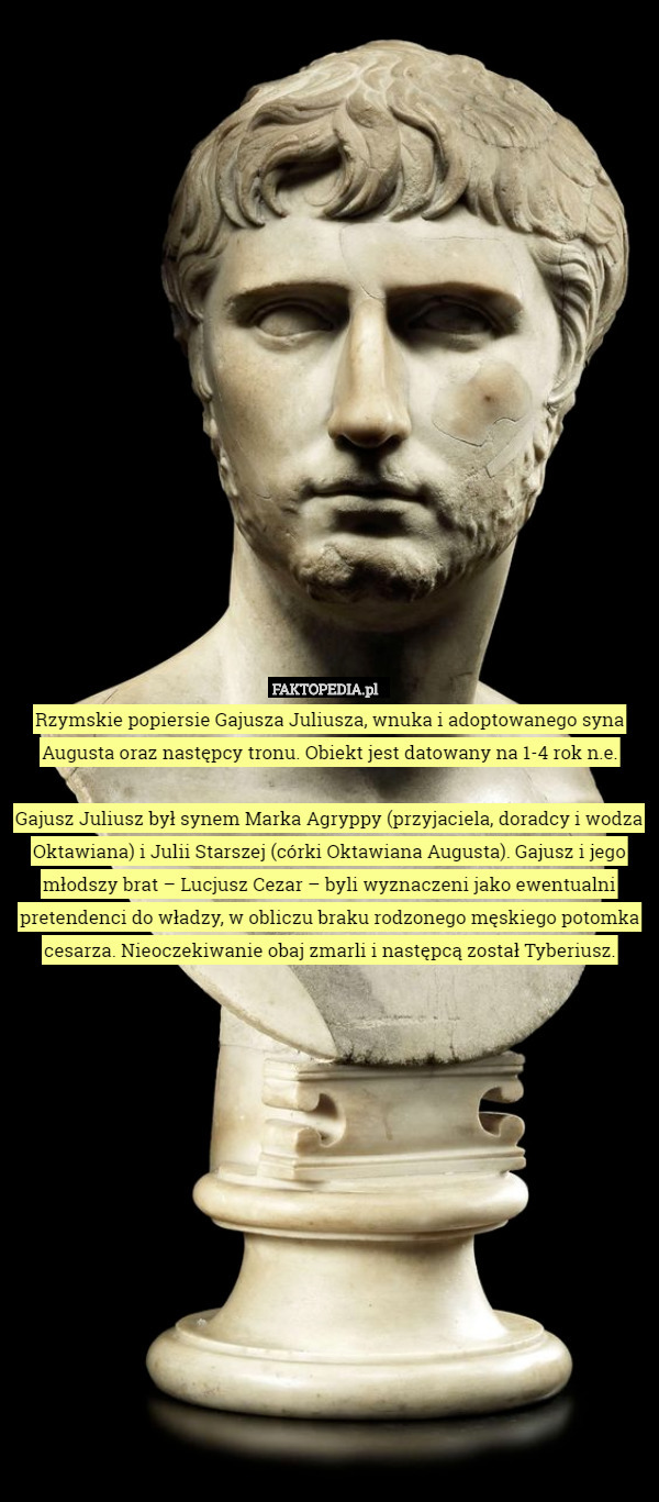 Rzymskie popiersie Gajusza Juliusza, wnuka i adoptowanego syna Augusta oraz