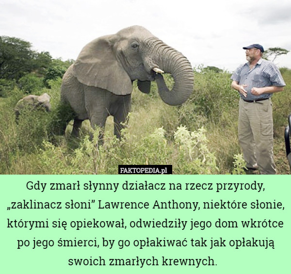 Gdy zmarł słynny działacz na rzecz przyrody, „zaklinacz słoni” Lawrence