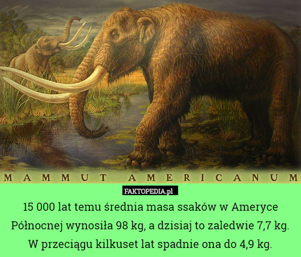 15 000 lat temu średnia masa ssaków w Ameryce Północnej wynosiła 98 kg,