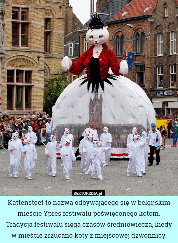 Kattenstoet to nazwa odbywającego się w belgijskim mieście Ypres festiwalu