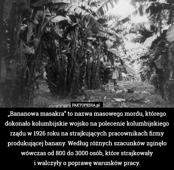 „Bananowa masakra” to nazwa masowego mordu, którego dokonało kolumbijskie