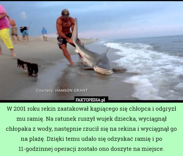 W 2001 roku rekin zaatakował kąpiącego się chłopca i odgryzł mu ramię. Na