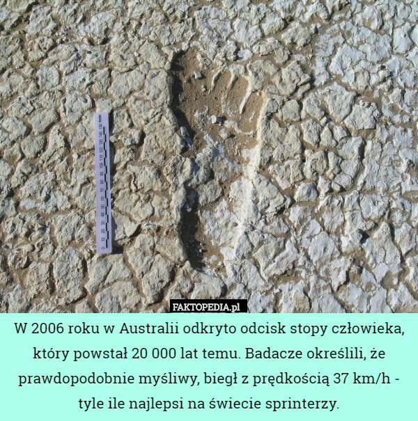 W 2006 roku w Australii odkryto odcisk stopy człowieka, który powstał 20