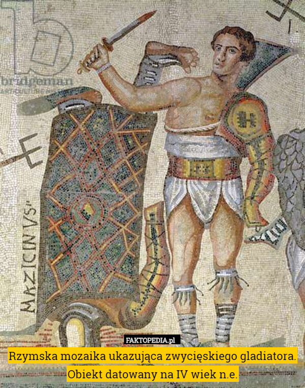 Rzymska mozaika ukazująca zwycięskiego gladiatora. Obiekt datowany na IV