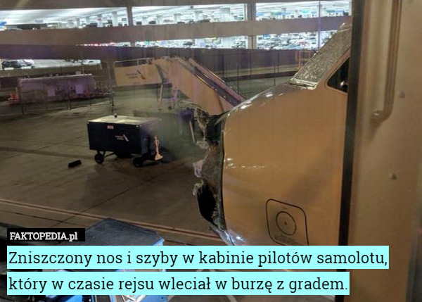 Zniszczony nos i szyby w kabinie pilotów samolotu, który w czasie rejsu wleciał