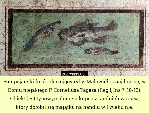 Pompejański fresk ukazujący ryby. Malowidło znajduje się w Domu niejakiego