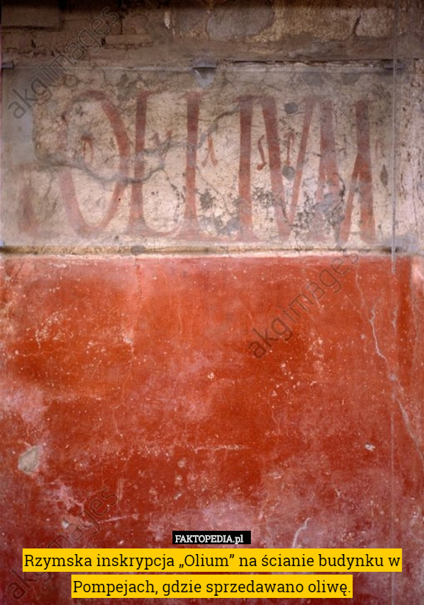 Rzymska inskrypcja „Olium” na ścianie budynku w Pompejach, gdzie sprzedawano