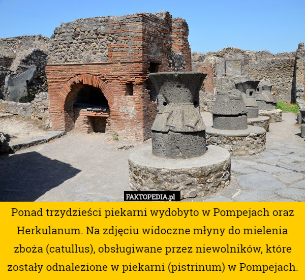 Ponad trzydzieści piekarni wydobyto w Pompejach oraz Herkulanum. Na zdjęciu