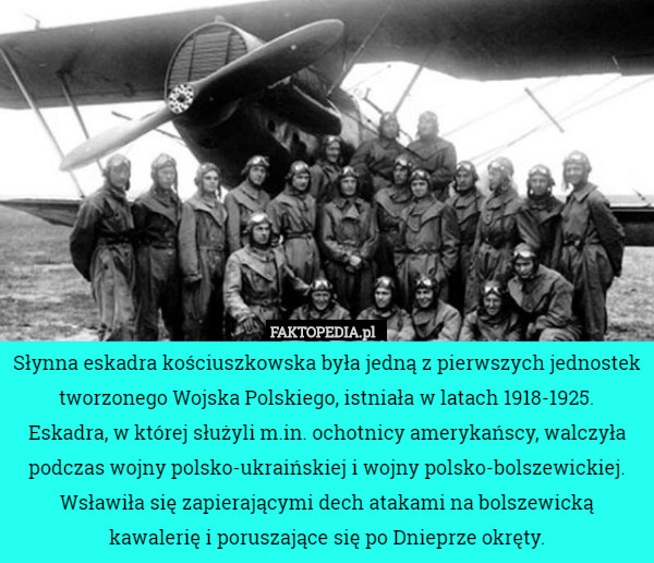 Słynna eskadra kościuszkowska była jedną z pierwszych jednostek tworzonego