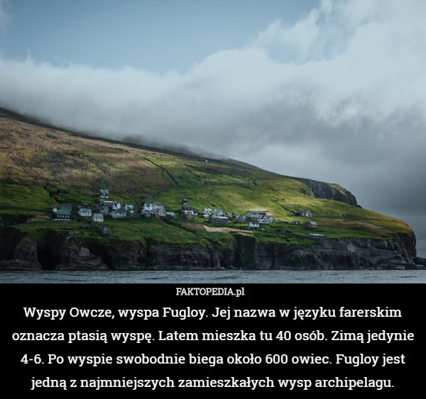 Wyspy Owcze, wyspa Fugloy. Jej nazwa w języku farerskim oznacza ptasią wyspę.