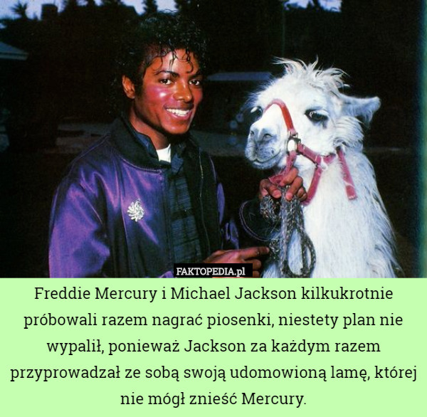 Freddie Mercury i Michael Jackson kilkukrotnie próbowali razem nagrać piosenki,