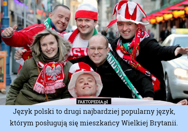 Język polski to drugi najbardziej popularny język, którym posługują się