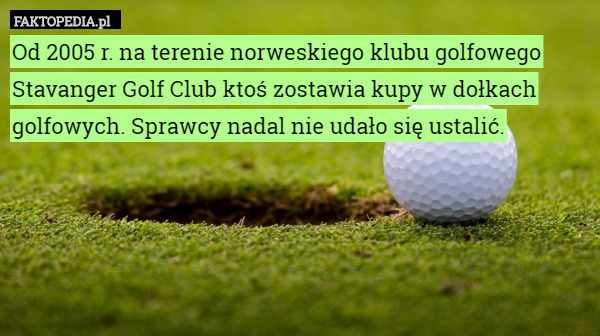 Od 2005 r. na terenie norweskiego klubu golfowego Stavanger Golf Club ktoś